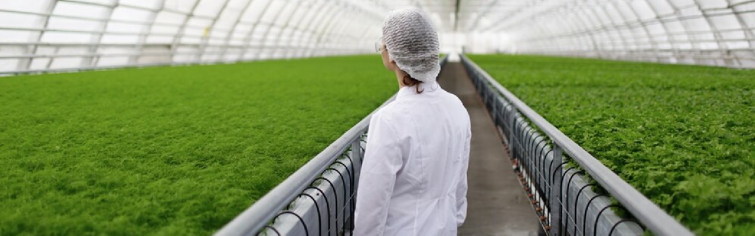 人生就是搏(中国集团)官方网站